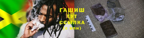spice Гусев