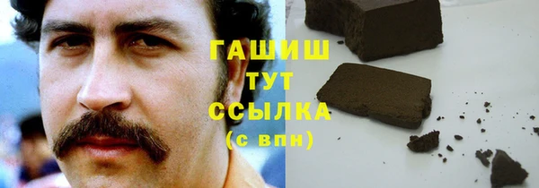 spice Гусев