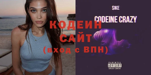 spice Гусев