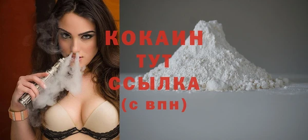 spice Гусев