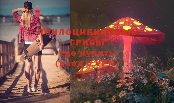 apvp Гусь-Хрустальный