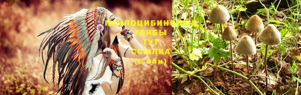 spice Гусев