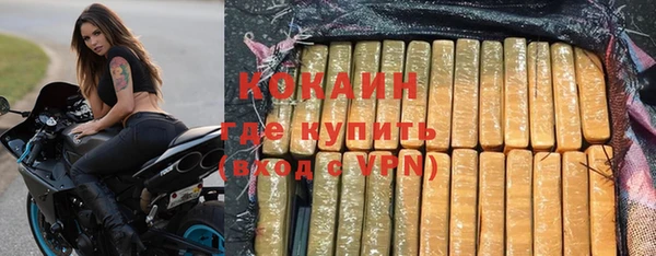 индика Горнозаводск