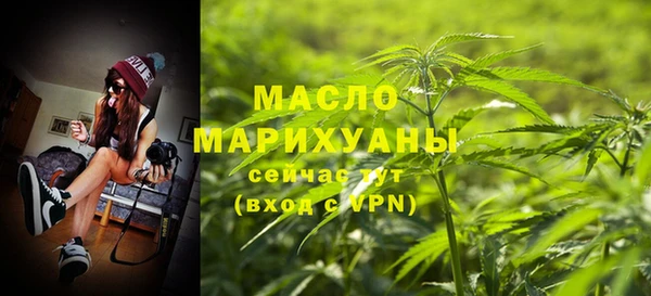 spice Гусев