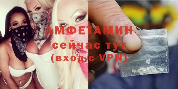 spice Гусев