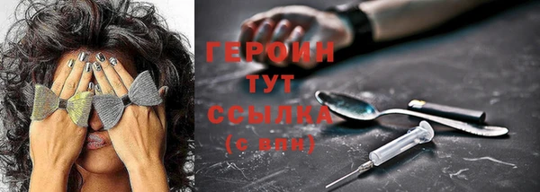 spice Гусев