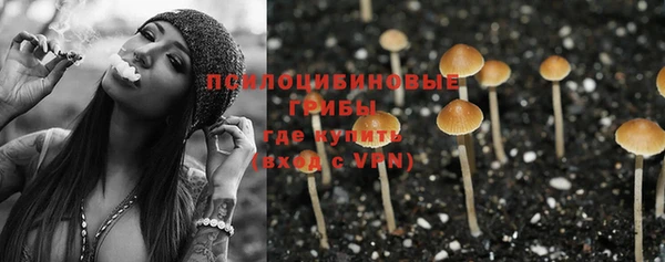 apvp Гусь-Хрустальный